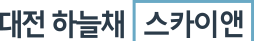 대전 하늘채 스카이앤